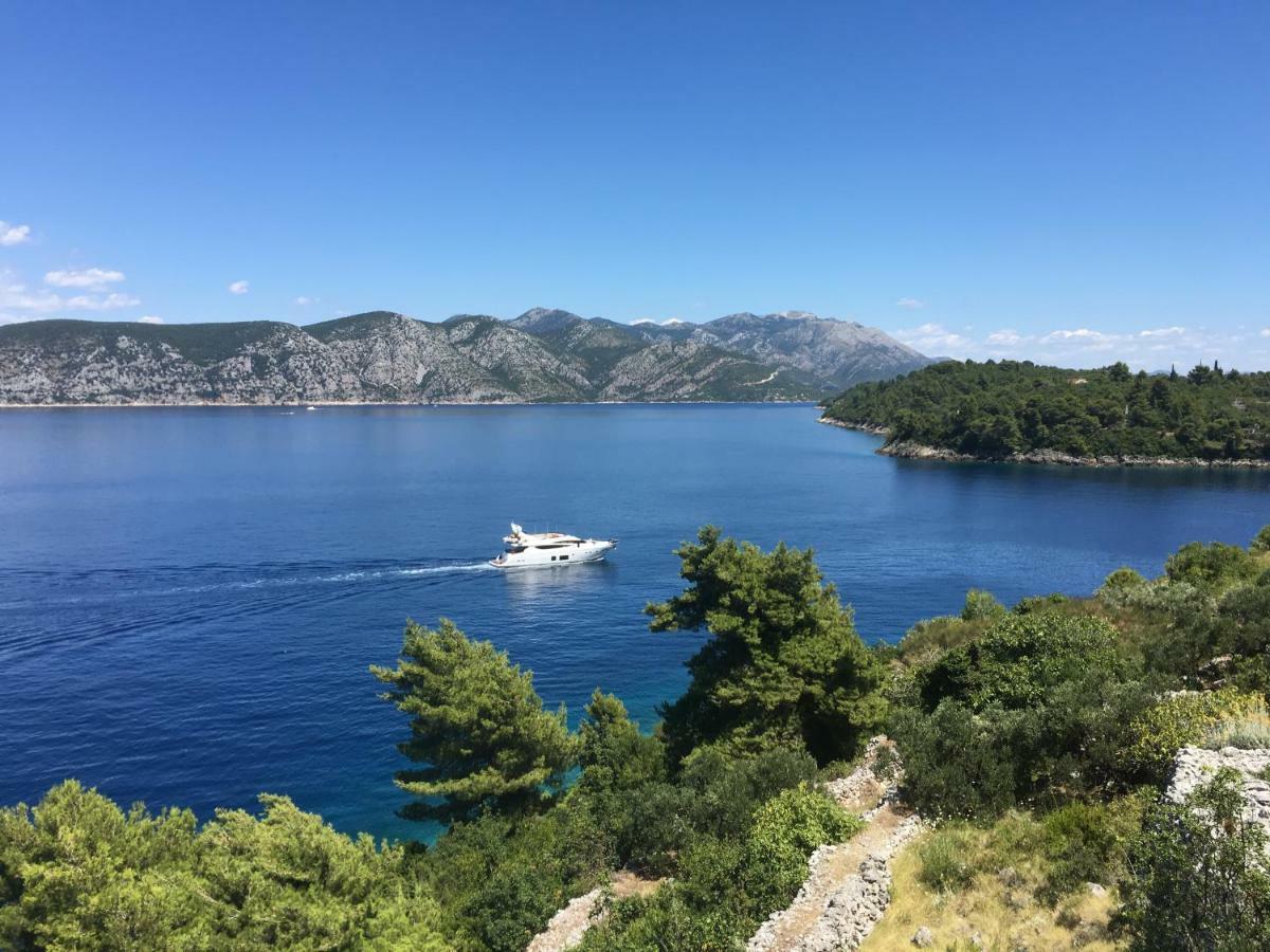 RačišćeThe View ****公寓 外观 照片